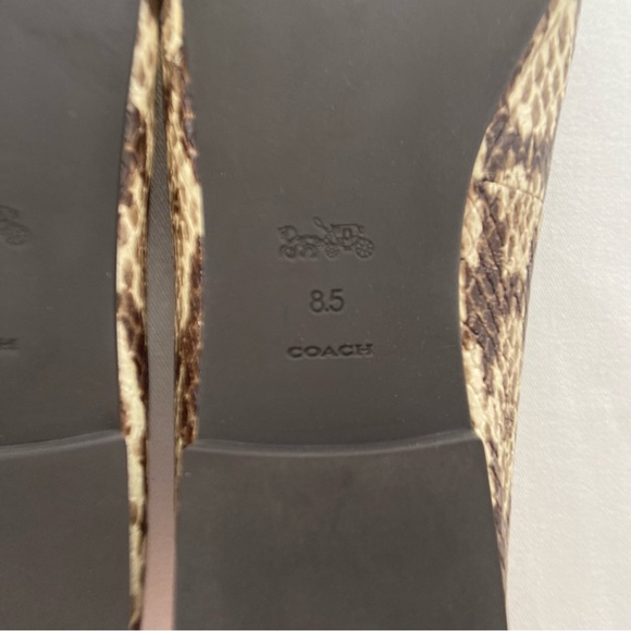 Coach Annabel Snakeskin Pointed Toe Ballet Flats - Picture 14 of 16